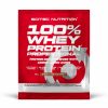 Scitec Nutirtion 100% Whey Protein Professional (30 гр)