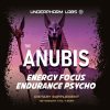 Underpharm Labs Anubis порция