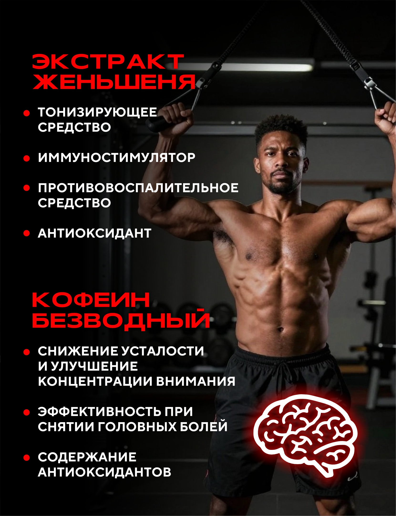 Angry Animal Angry Focus + Brain complex (30 мл)