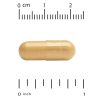 Doctors Best High Abs CoQ10 100 mg (120 капс.)