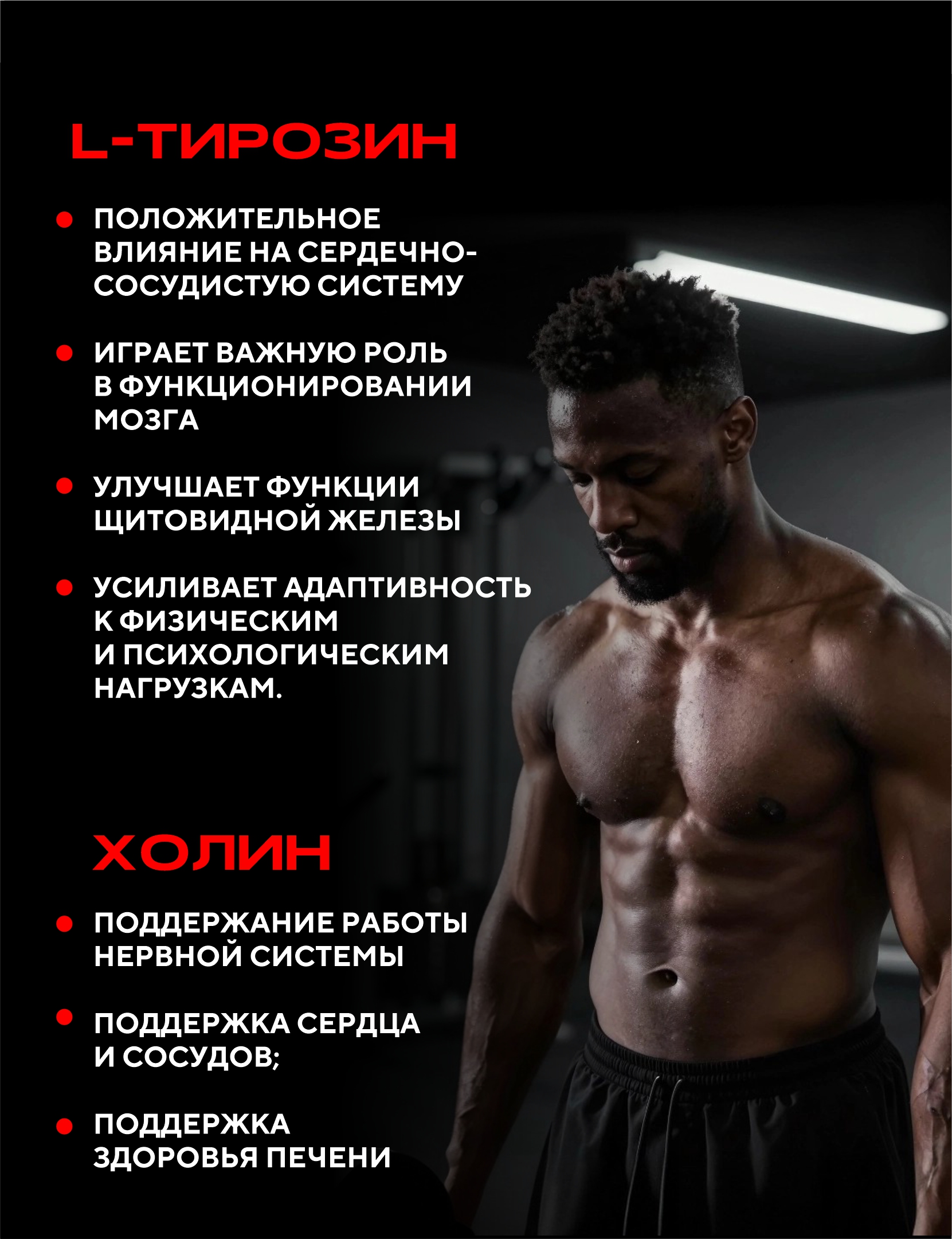 Angry Animal Angry Focus + Brain complex (30 мл)