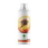 Nature Foods L-Carnitine + Guarana concentrate (500 мл)